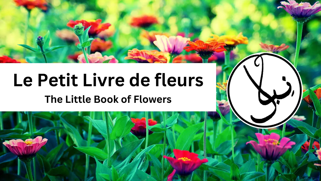 Title "le petit livre de fleurs" over a picture of green flowers